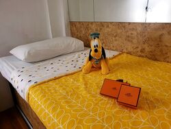 Mackenzie 138 (D9), Apartment #552860181